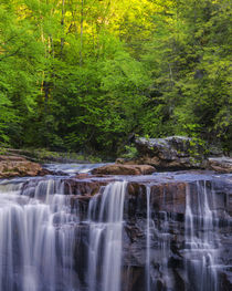 USA, West Virginia, Davis, Blackwater Falls by Danita Delimont