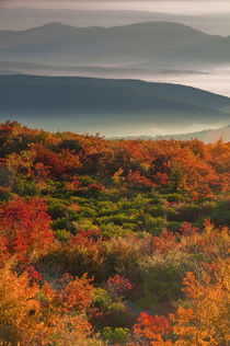 USA, West Virginia, Dolly Sods Wilderness von Danita Delimont