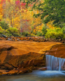USA, West Virginia, Douglass Falls by Danita Delimont