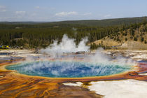 Elevated view of Grand Prismatic Spring, the largest in the U by Danita Delimont