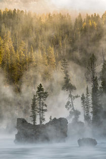 Boulders and trees in steaming Yellowstone River at sunrise,... by Danita Delimont