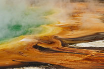 Elevated view of Grand Prismatic Spring and patterns in bact... by Danita Delimont