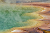 Elevated view of Grand Prismatic Spring and patterns in bact... by Danita Delimont