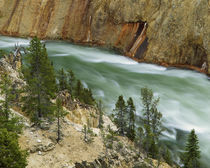 USA, Wyoming, Yellowstone National Park, Grand Canyon of the... von Danita Delimont