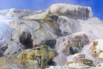 Yellowstone National Park Winter von Danita Delimont