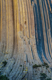 USA, Wyoming, Devil's Tower National Monument detail of colu... by Danita Delimont