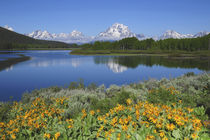 Grand Tetons from the Oxbow, Grand Teton National Park, Wyoming, USA by Danita Delimont