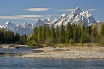 Pacific Creek, Moran Junction, Grand Teton National Park, Wyoming, USA by Danita Delimont