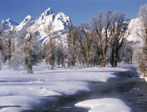 USA, Wyoming, Grand Teton National Park covered in snow by Danita Delimont