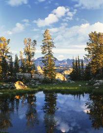 USA, Wyoming, Landscape with reflection of lake von Danita Delimont