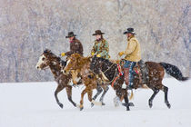 Cowboys and Cowgirls riding snowfall; Model Released by Danita Delimont