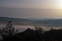 Morgendlicher Nebel vor Sonnenaufgang in französischen Leobard  by captainsilva