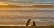lonley Surf Girl & Sunset Ocean by Manou Rabe