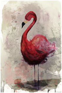 Flamingo by Sabrina Ziegenhorn
