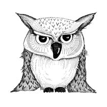 grumpy owl by Sabrina Ziegenhorn