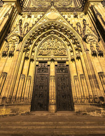 St. Vitus Cathedral, Doors and Tympanum by Tomas Gregor