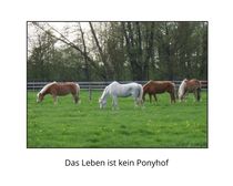 Ponyhof  by maja-310