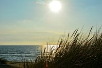 Strandhafer an der Nordsee beim Sonnenuntergang by Claudia Evans
