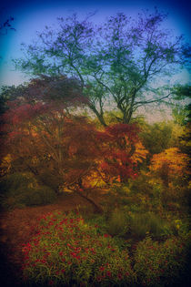Fairy autumn forest von Eti Reid