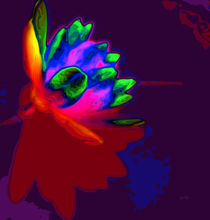 Water lily abstract pop art von Eti Reid
