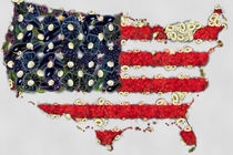 USA flag map fruits and vegetables art on white background von Eti Reid