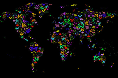 World-map-neon-butterflies-on-black