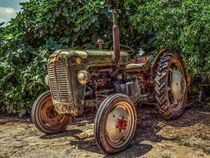 Rustic farm tractor von past-presence-art