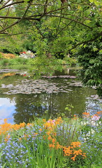 Garden with water lilies von Maria Preibsch