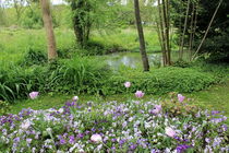 Beautiful garden von Maria Preibsch