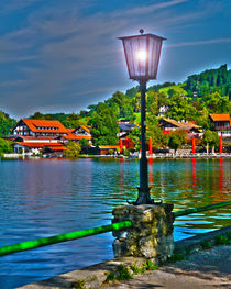 Lantern at the Lake Schliersee by Michael Naegele