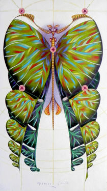 Fibonacci butterfly von federico cortese