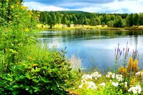 landscape with water in Sweden von Thomas Preibsch