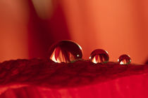 three red drops by lightart