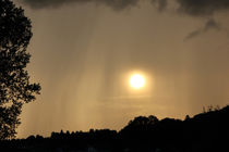 Regen bei Sonnenschein von Martina  Gsöls