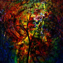 Abstract Autumn von Blake Robson