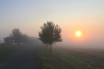 Sonne im Nebel von Bernhard Kaiser