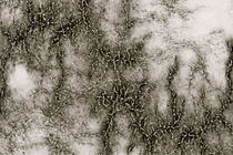 Grey Marble Pattern Black And Silver Vined by gittagsart