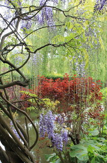 Garden with lilacs by Maria Preibsch