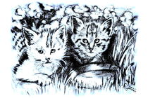 Baby Cats In Blue And White von gittagsart