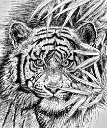 King Of The Jungle In Black And White von gittagsart