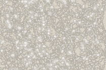 Grey Bubbles On Beige Abstract by gittagsart