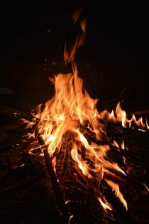 Am Lagerfeuer in der Nacht von Claudia Evans