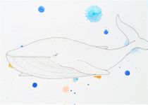 Whale by eugenie