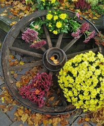 Wagenrad als Herbstdeko by assy
