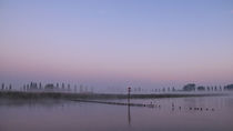 Spätsommermorgen auf der Halbinsel Höri - Bodensee von Christine Horn