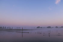 Morgendämmerung auf der Halbinsel Höri - Bodensee by Christine Horn