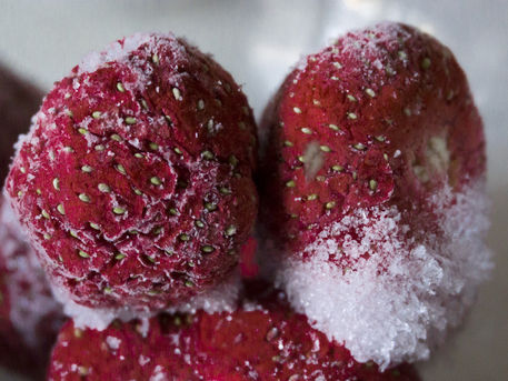 Frostige-erdbeere