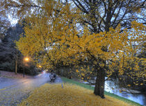 Weg und Verfaerbter Baum in den Wallanlagen im Herbst bei Abenddaemmerung, Bremen, von Torsten Krüger