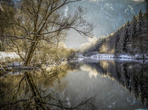 Die winterliche Donau bei Beuron - Naturpark Obere Donau von Christine Horn