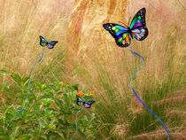 Butterflies Dream by Rosalie Scanlon